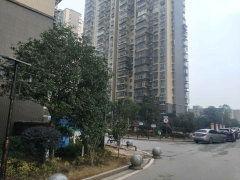 新宇星城爆料视频大全,揭秘项目亮点与真实情况