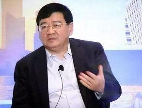 爆料徐小平视频大全,揭秘创业教父的智慧与风采